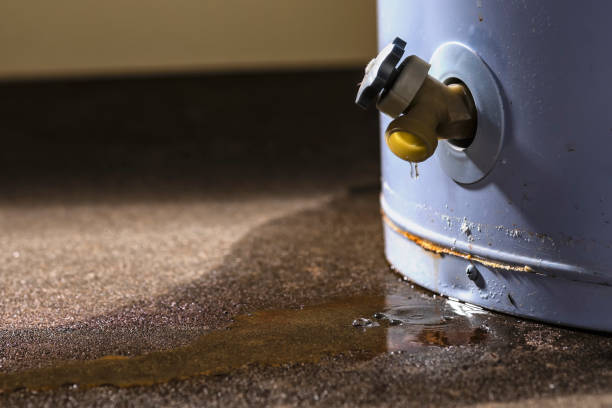 Carpet water damage restoration in MO