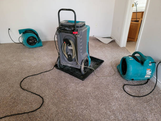Best 24-hour water damage restoration  in Nett, MO
