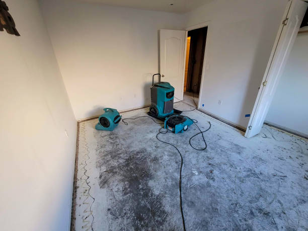 Best Basement water damage restoration  in Nett, MO