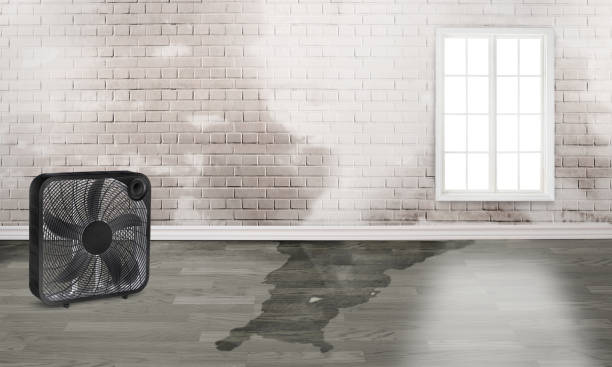 Best Emergency water damage restoration  in Nett, MO