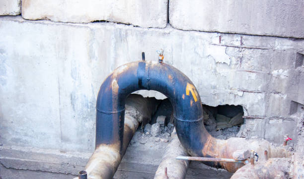 Best Flood damage cleanup  in Nett, MO